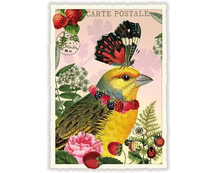 Postkarte / Vogel mit Schmetterlingshut / blanko