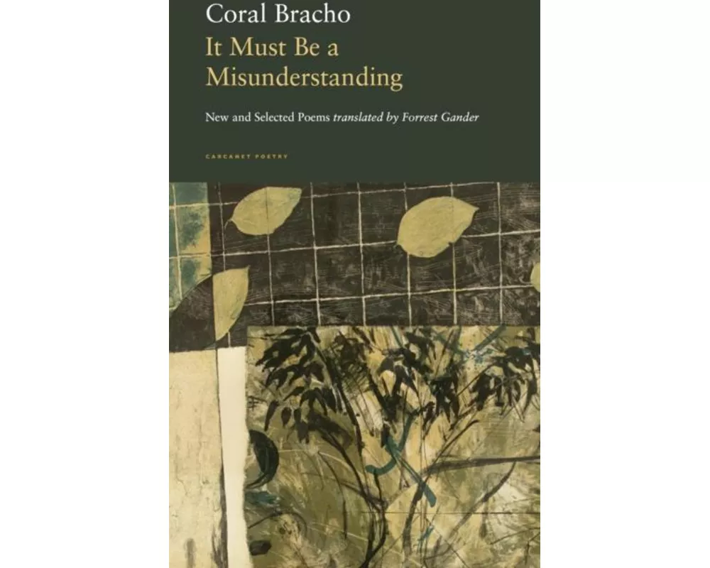 It Must Be a Misunderstanding