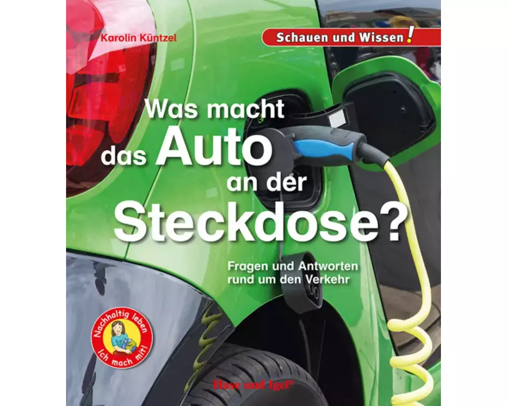 Was macht das Auto an der Steckdose?