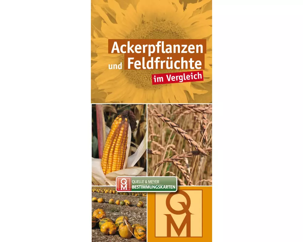 Ackerpflanzen und Feldfrüchte im Vergleich - 10er-Set
