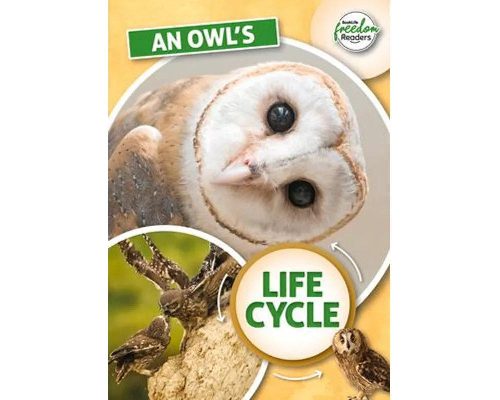 An Owl's Life Cycle