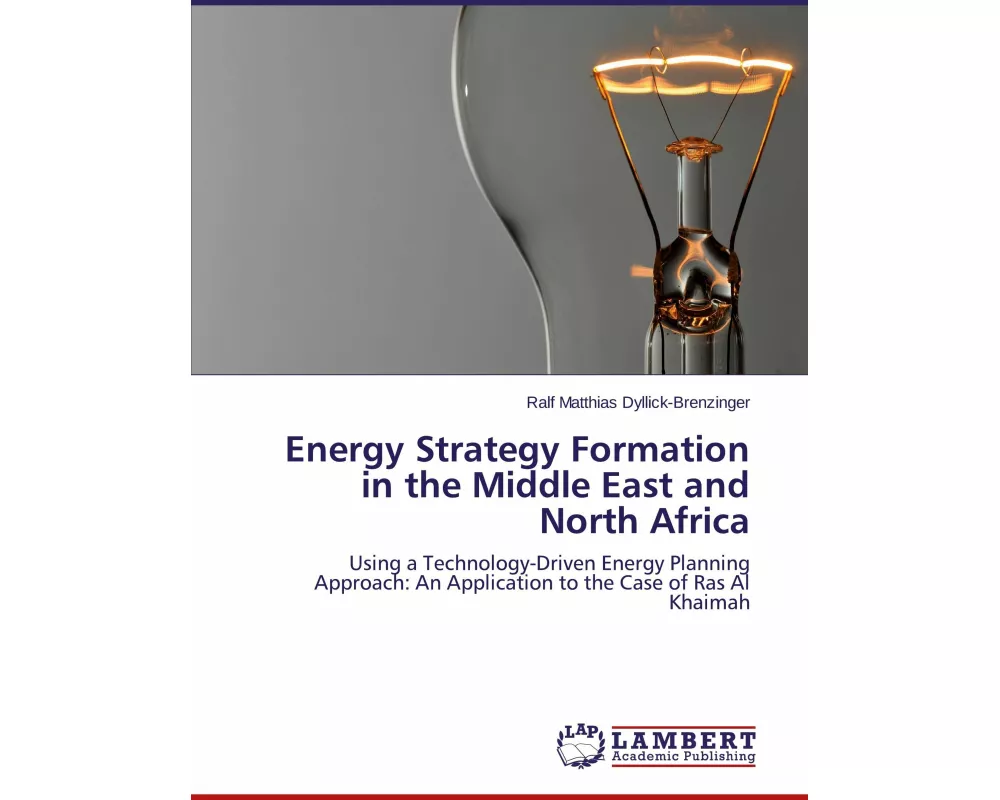 Energy Strategy Formation in the Middle East and North Africa