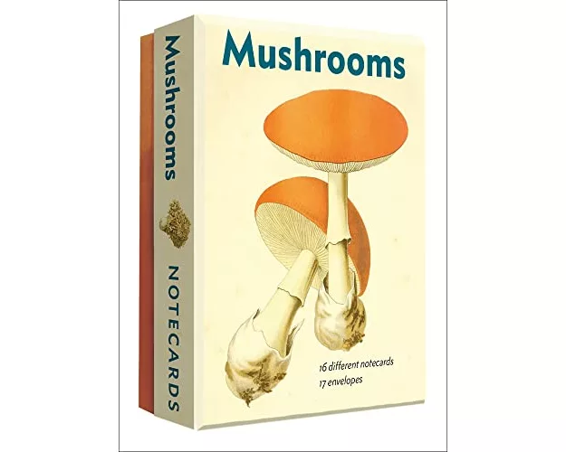Mushrooms - Notecard Set