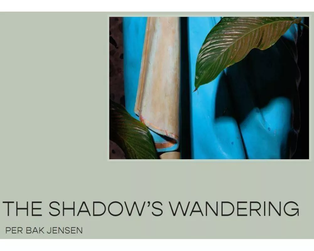 The Shadow's Wandering