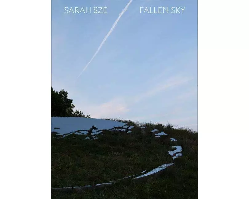 Sarah Sze: Fallen Sky