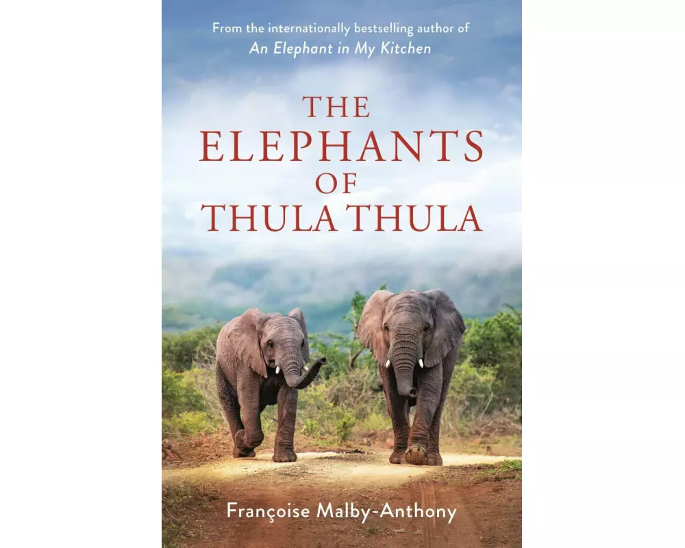 The Elephants of Thula Thula
