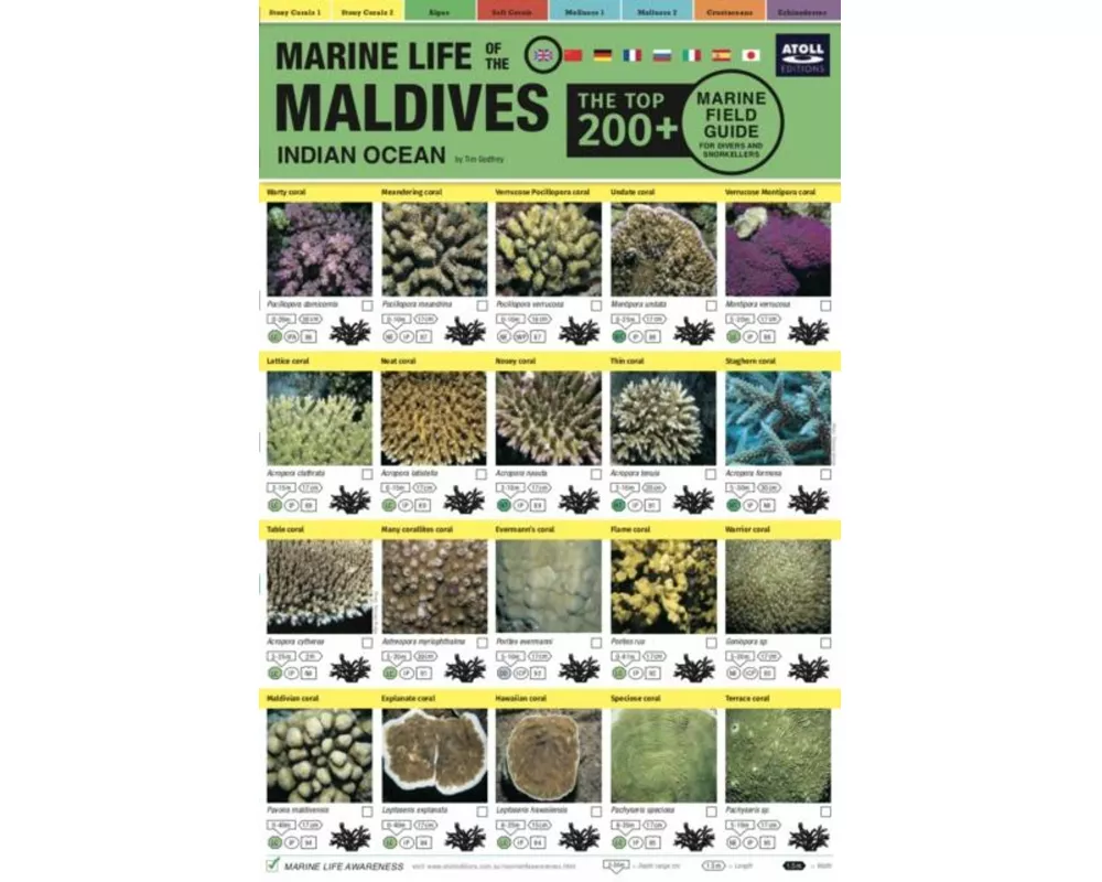 Maldives Marine Life Field Guide