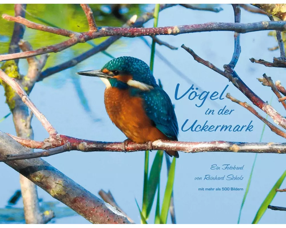 Vögel in der Uckermark
