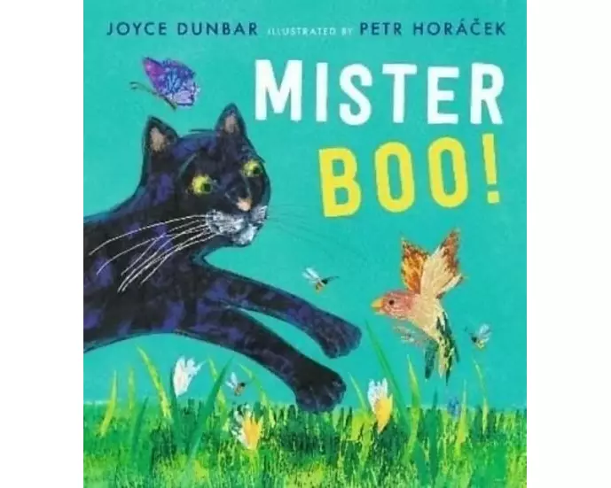 Mister Boo!