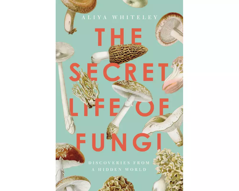 Secret Life of Fungi