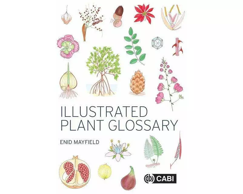 Illustrated Plant Glossary