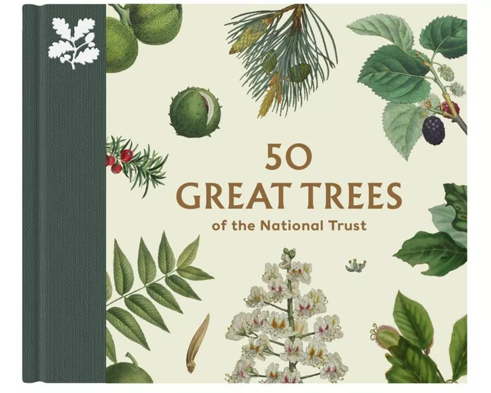50 Great Trees Of The National Trust