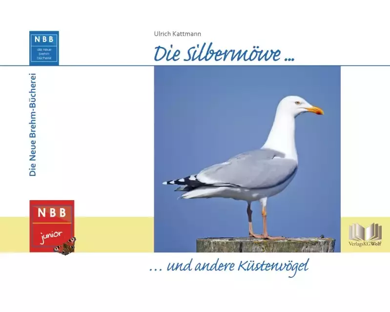 Die Silbermöwe und andere Küstenvögel