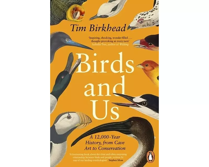 Birds and Us