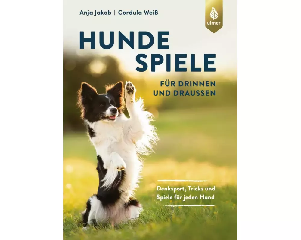 Hundespiele für drinnen und draußen