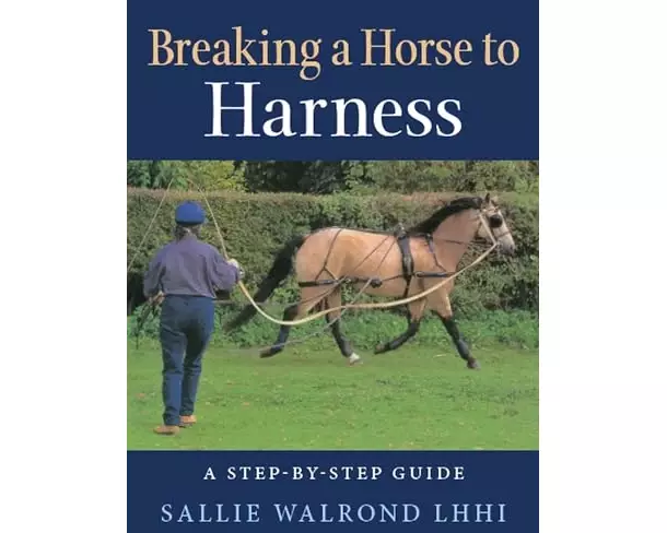 Breaking a Horse to Harness