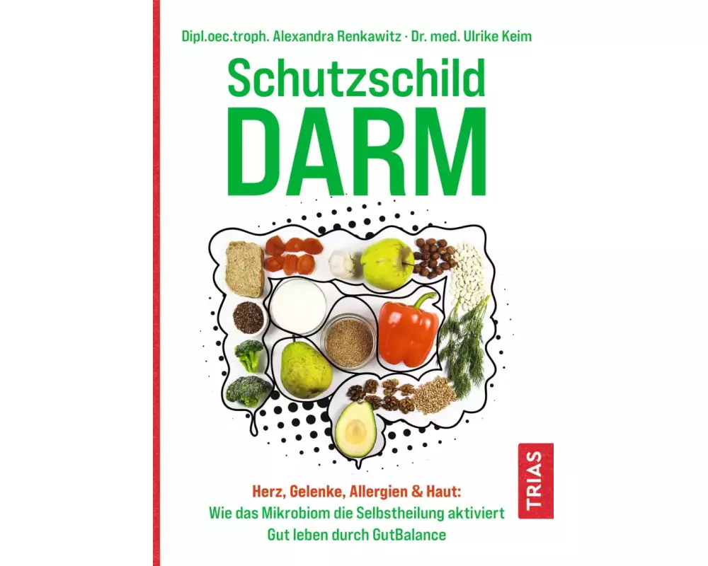 Schutzschild Darm