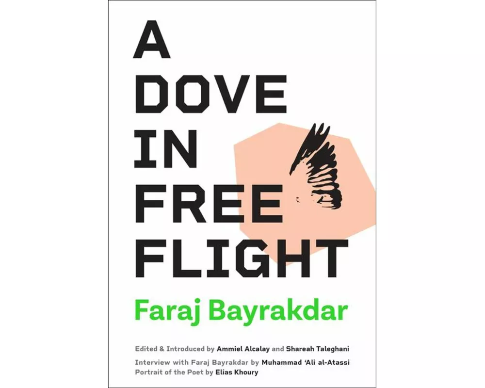 A Dove in Free Flight