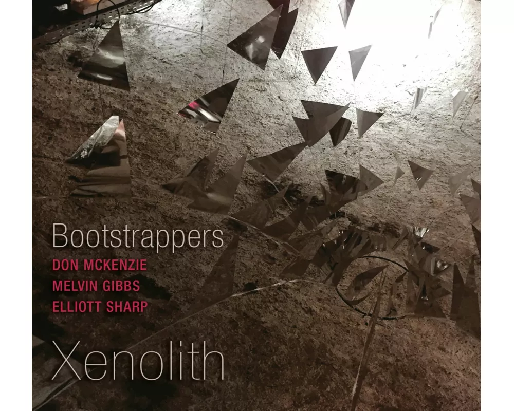 Xenolith