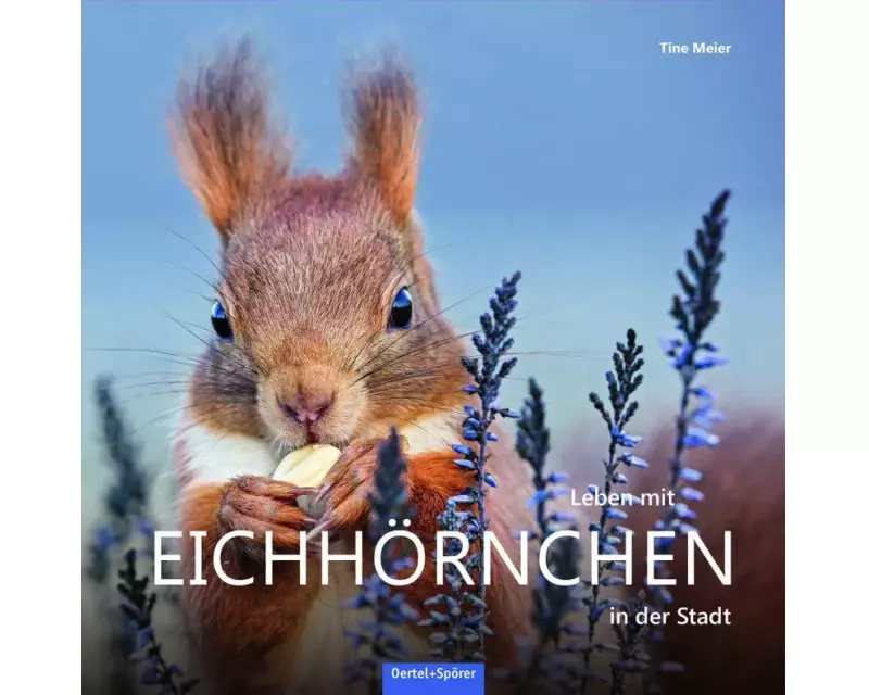 Leben mit Eichhörnchen in der Stadt