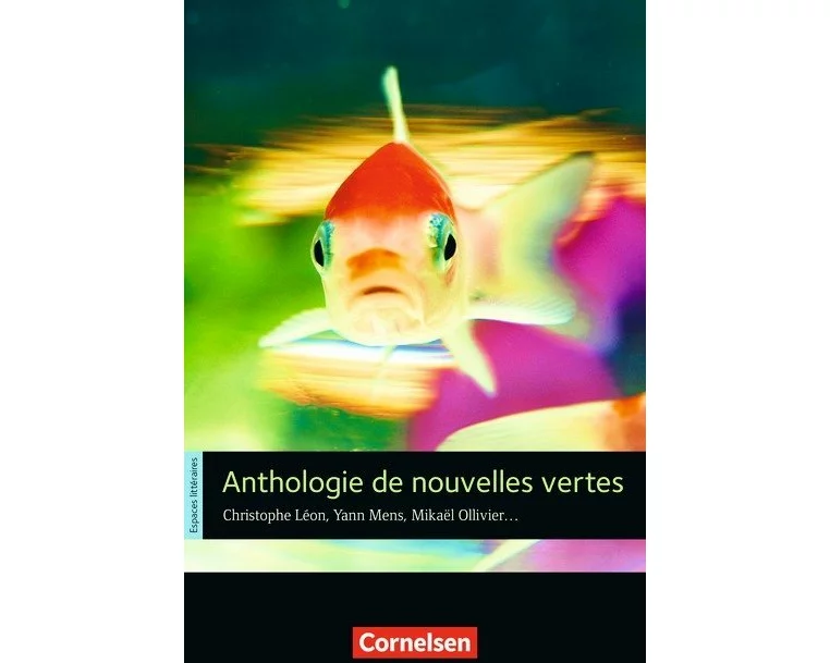 Espaces littéraires - Lektüren in französischer Sprache - B1-B1+