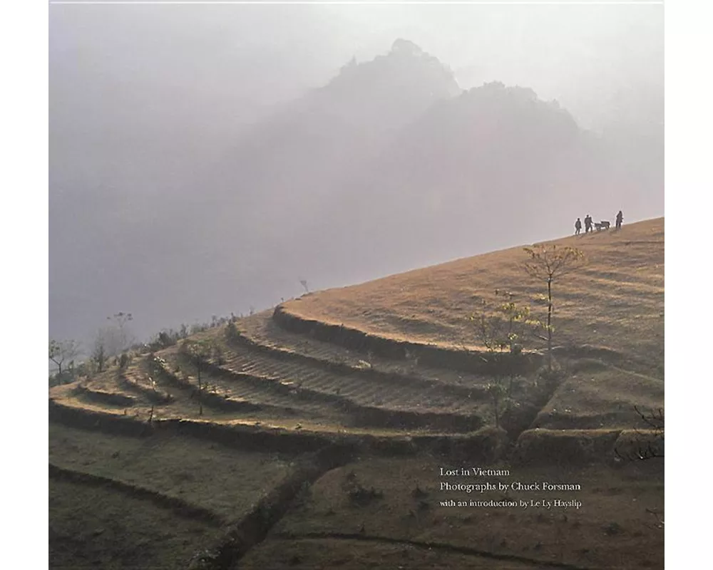 Lost in Vietnam