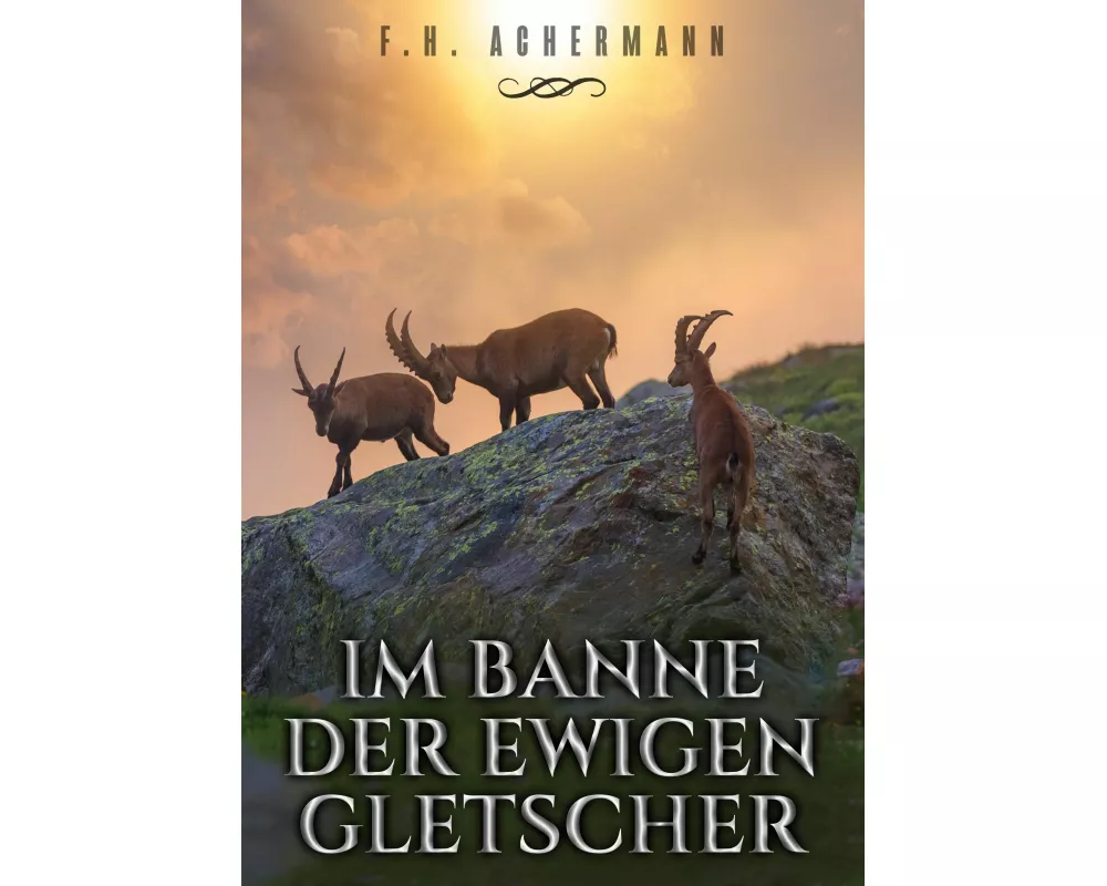 Im Banne der ewigen Gletscher