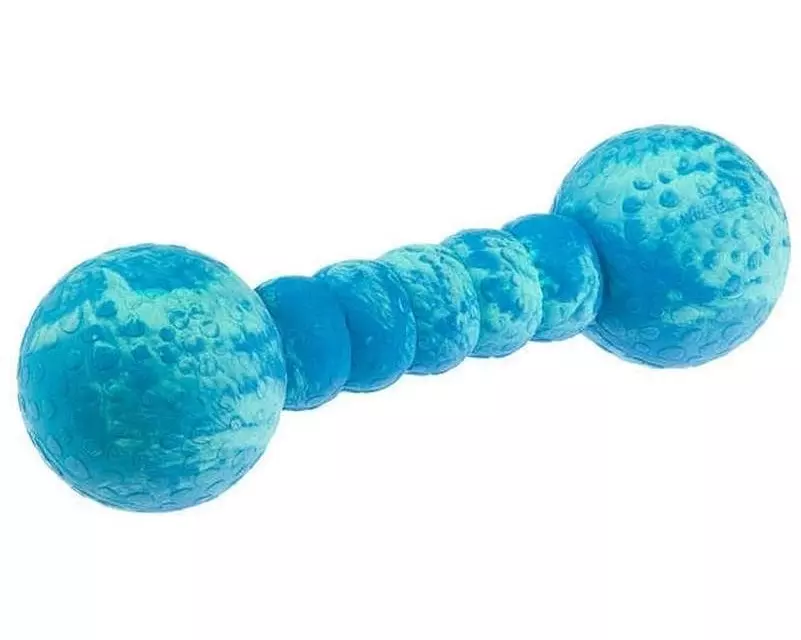 Wolters Hunde-Spielzeug Aqua-Fun Gym, 23 cm