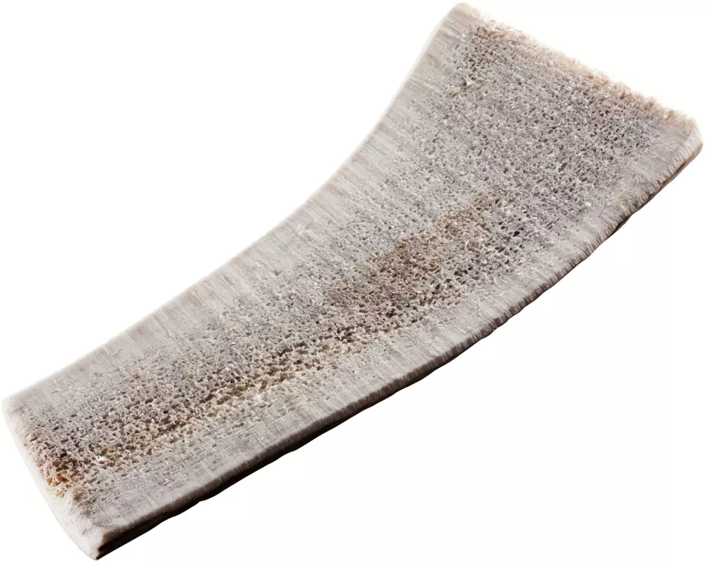 Chewies Rothirsch-Geweihstange M halb