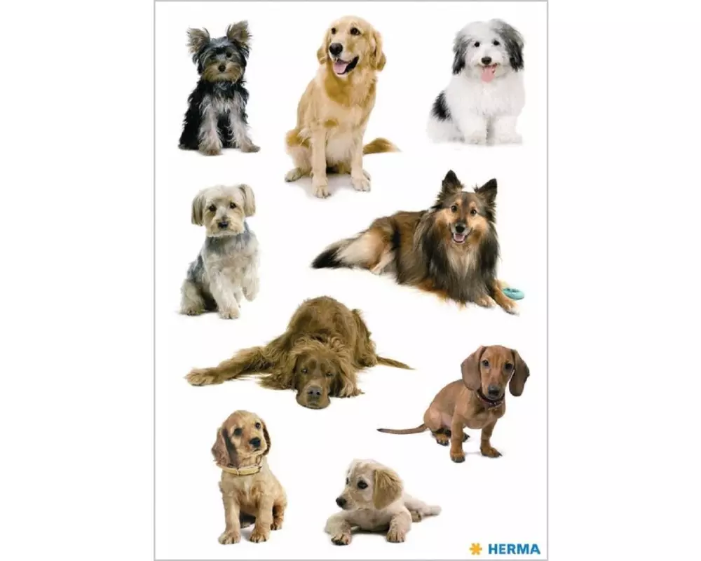 Herma Stickers Motivsticker Hundefotos, 3 Blatt