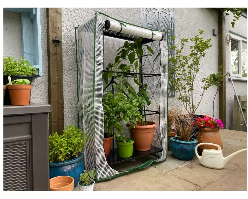 Colibri Gewächshaus Multiflex 3 mit PE Folie 71.5 x 34 x 87 cm