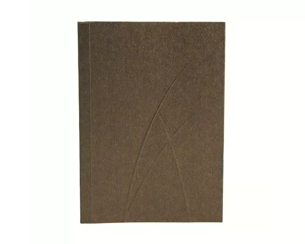 PaperOh Notizbuch Puro A7, Blanko, Bronze