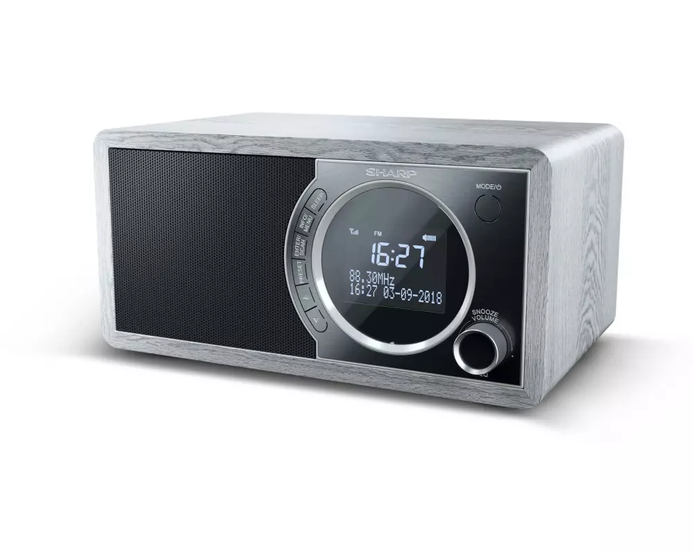 Sharp DAB+ Radio DR-450 Grau