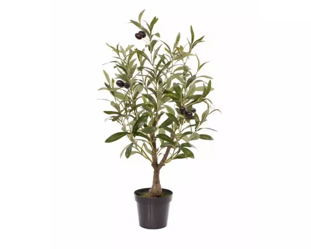 Botanic-Haus Kunstpflanze Olivenbaum, 60 cm