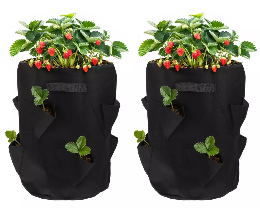 STRUCT Pflanzentasche Erdbeeren, 2er Set
