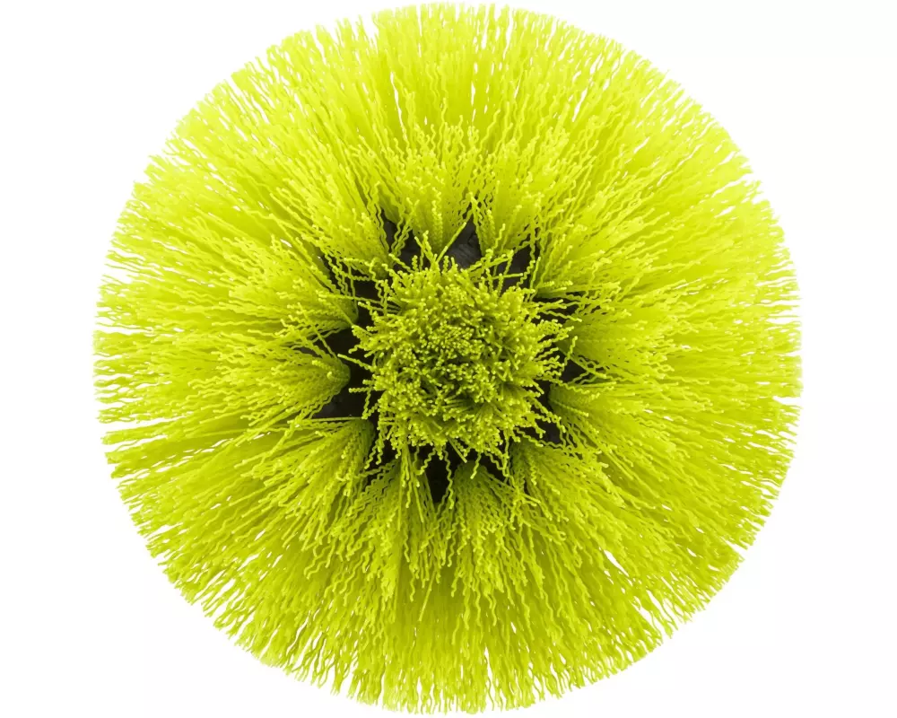 RYOBI Waschbürste RACLRM110