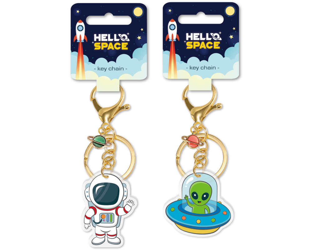 ROOST Schlüsselanhänger 2 ass. HAKP-001 Space