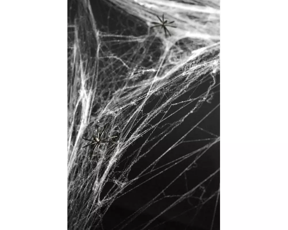 Partydeco Spinnengewebe Weiss, 60g