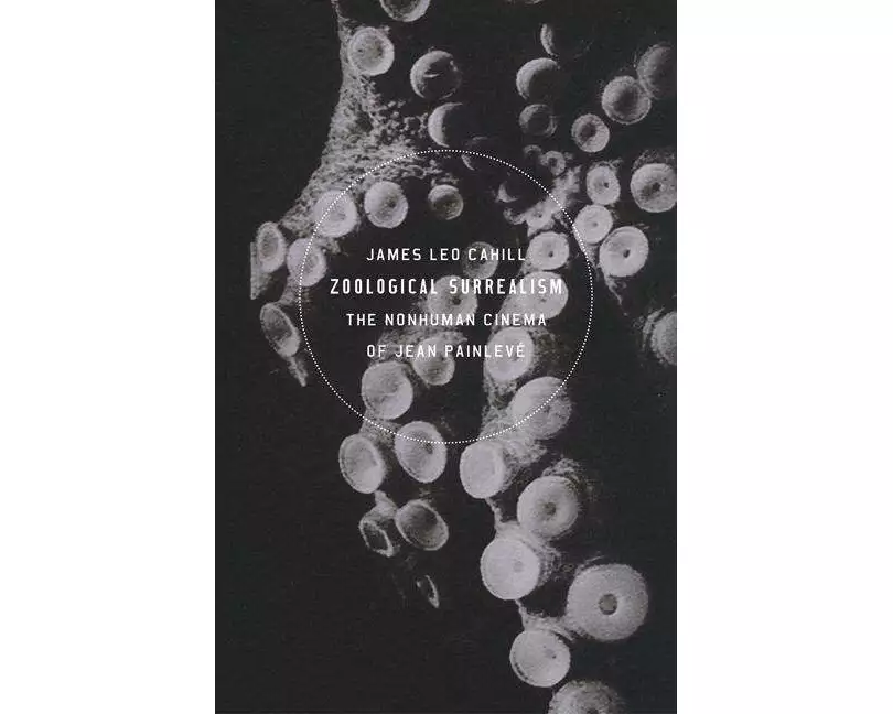 Zoological Surrealism