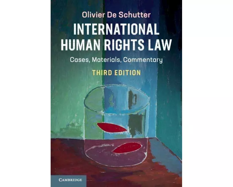 International Human Rights Law