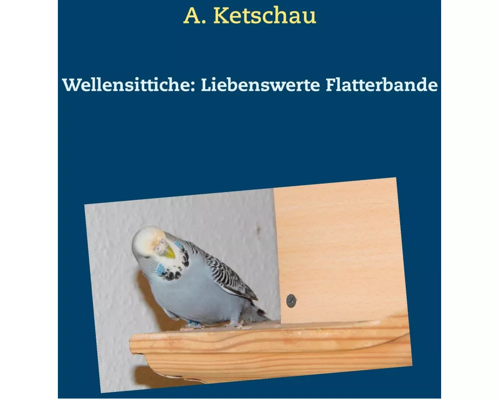 Wellensittiche: Liebenswerte Flatterbande