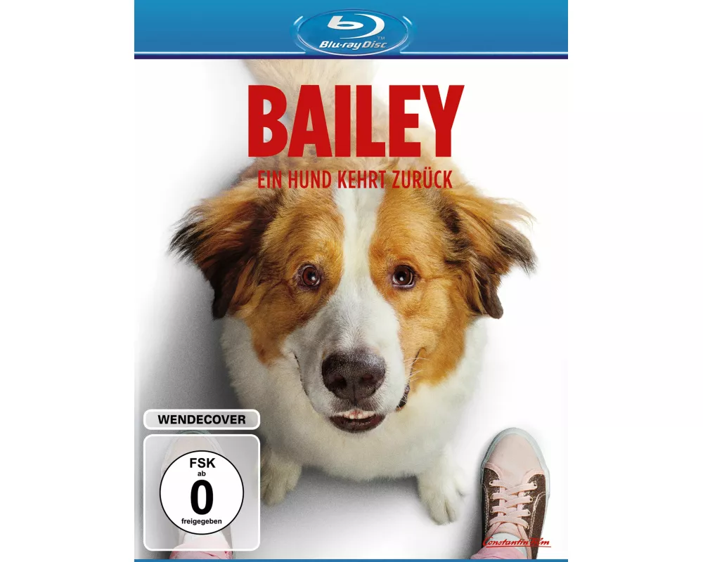 Bailey - Ein Hund kehrt zurück