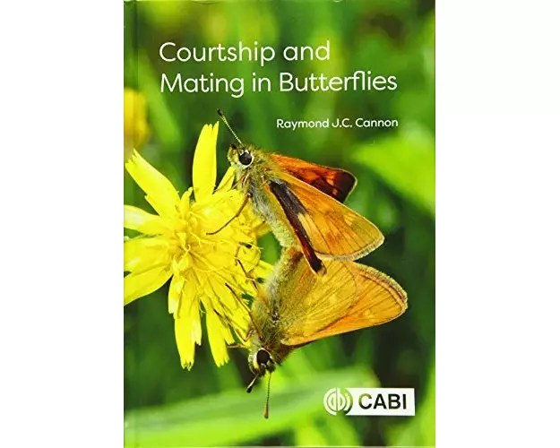 Courtship and Mating in Butterflies