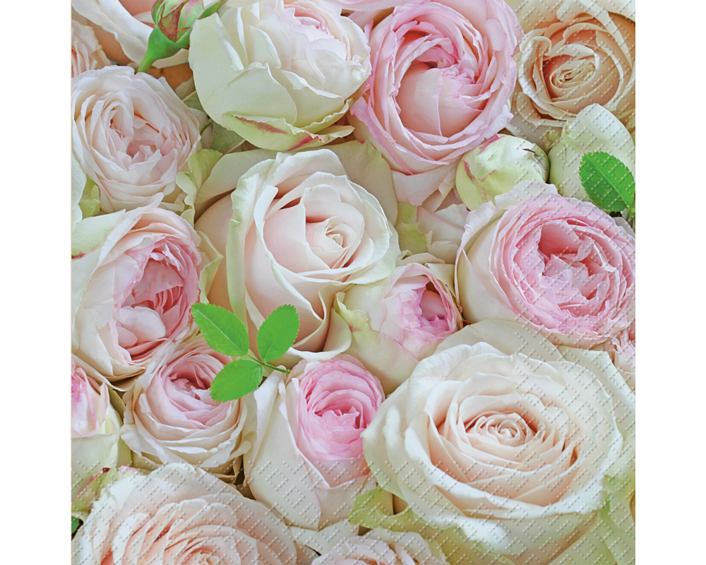 STEWO Serviette 33x33cm 2572649626 Lova FSC rosa hell 20 Stück