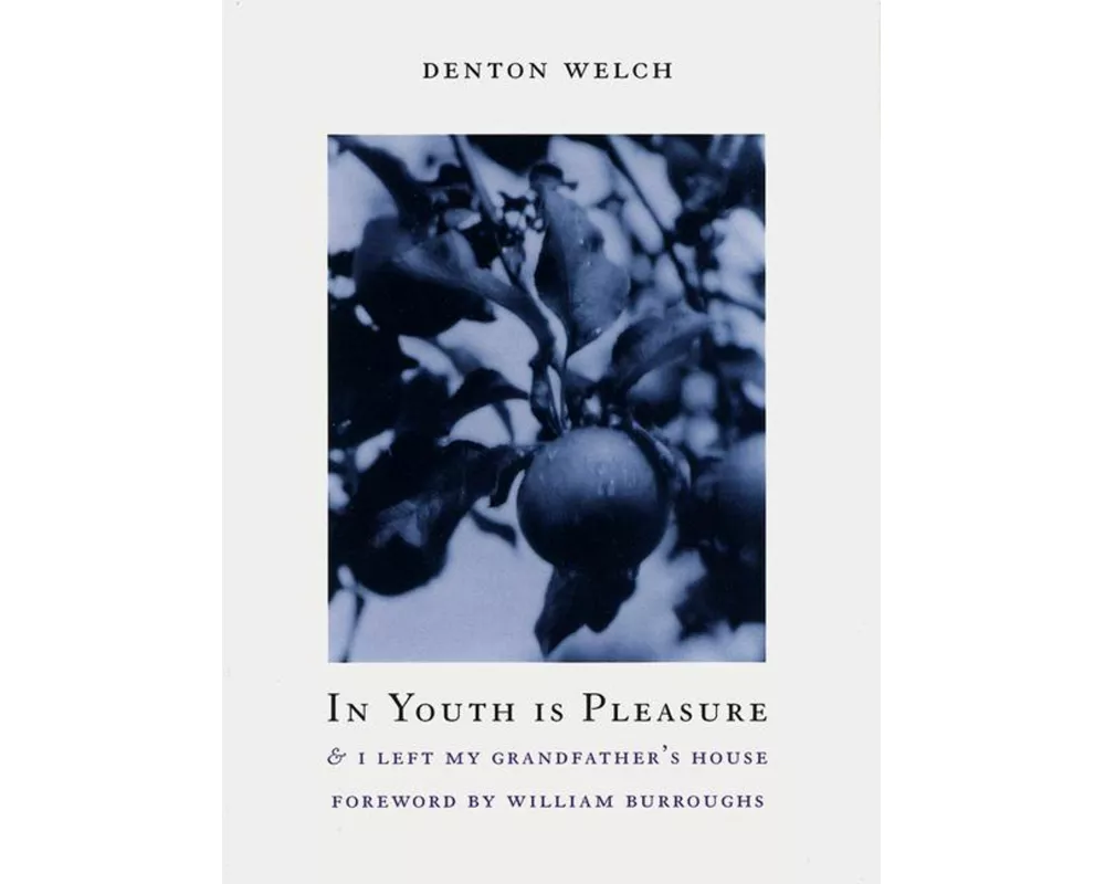 In Youth Is Pleasure