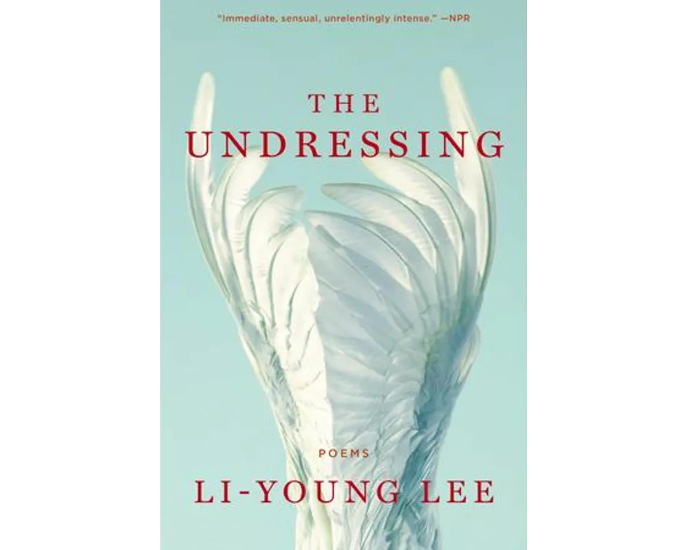 The Undressing