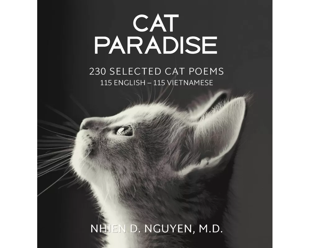 Cat Paradise