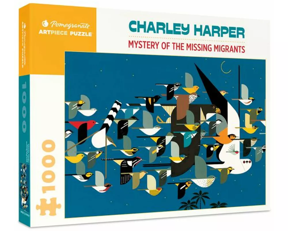 Mystery Of The Missing Migrants