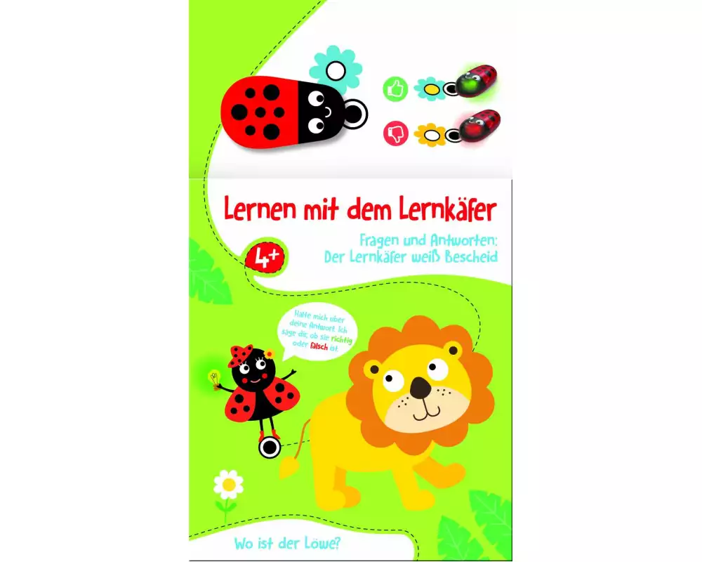 Lernen mit dem Lernkäfer - Löwe (4+)