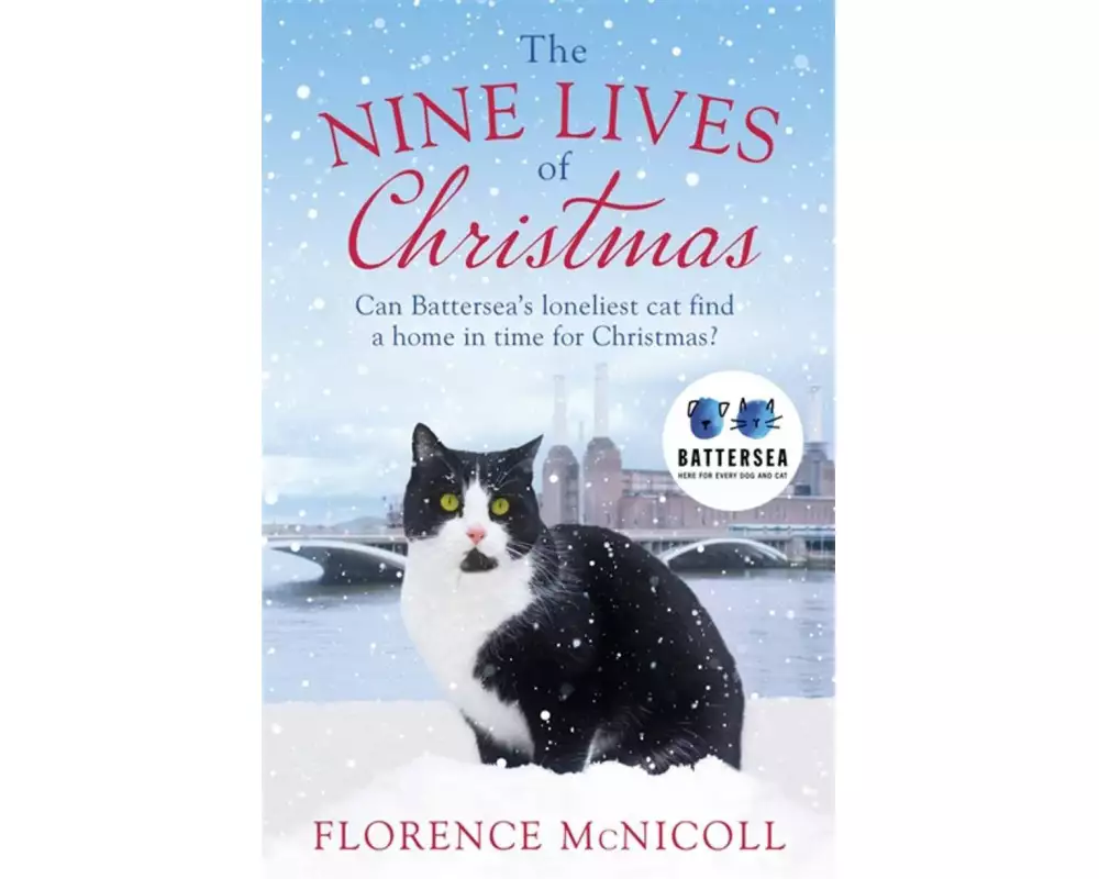 The Nine Lives of Christmas: Can Battersea's Felicia find a home in time for the holidays?